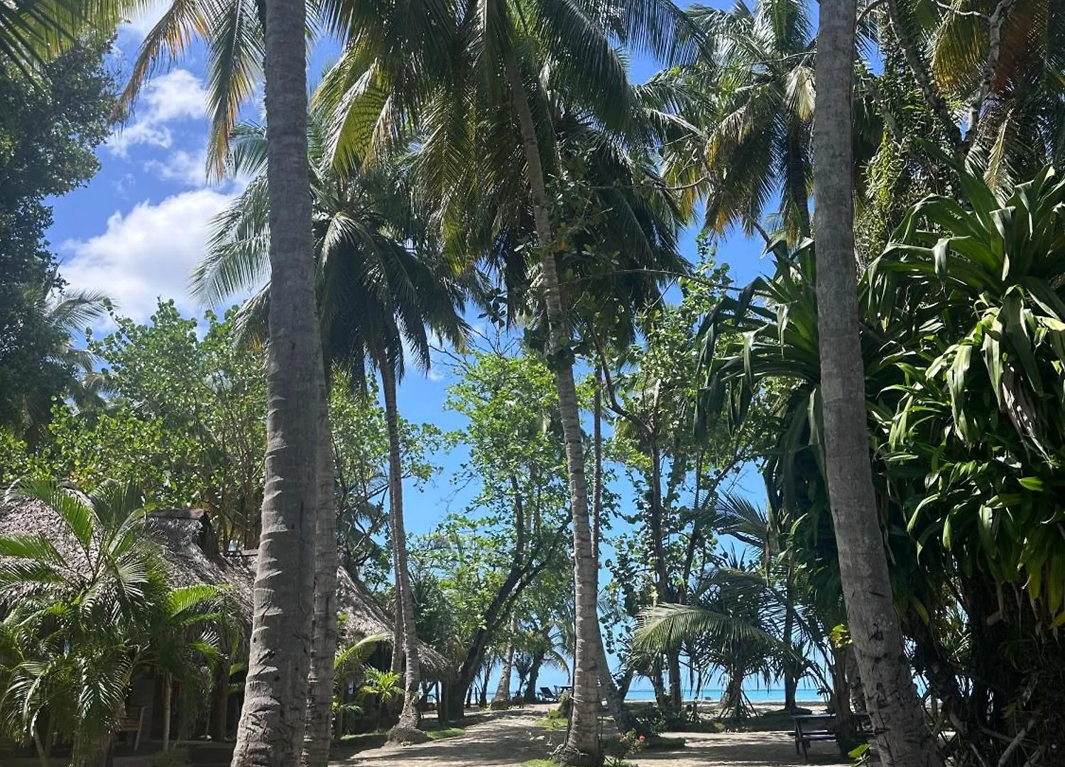 Playa Paraiso En Magante La Yagua Inn